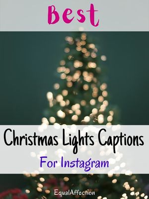 Christmas Lights Captions For Instagram