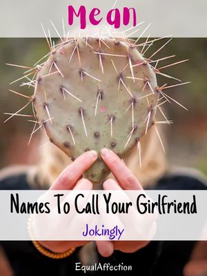 Mean Names To Call Your Girlfriend Jokingly