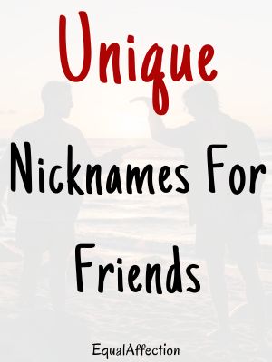 Unique Nicknames For Friends