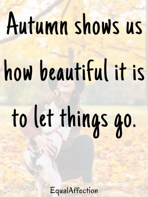 Short Inspirational Autumn Quotes