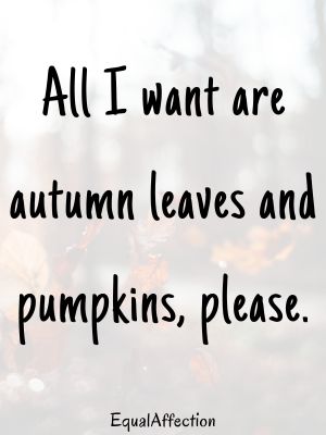 Catchy Fall Phrases