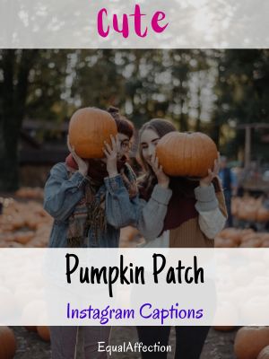 Cute Pumpkin Patch Instagram Captions