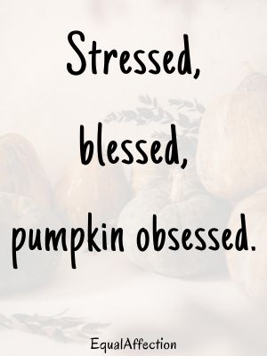 Fall Autumn Short Quotes