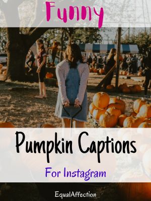 Funny Pumpkin Captions For Instagram