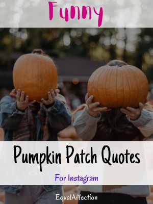 Funny Pumpkin Patch Quotes For Instagram