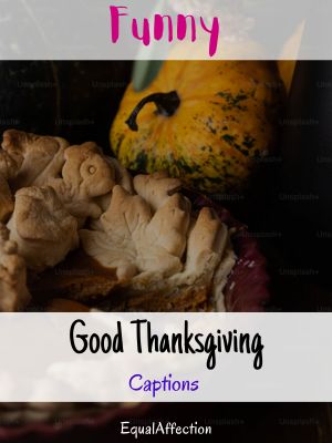 Good Thanksgiving Captions Funny