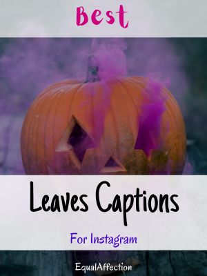 Leaves Captions For Instagram