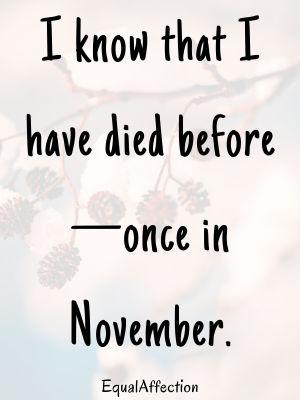 November Quotes Short