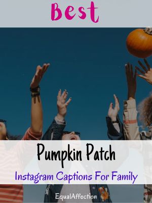 Pumpkin Patch Instagram Captions For Family