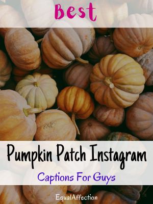 Pumpkin Patch Instagram Captions For Guys