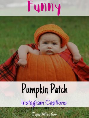 Pumpkin Patch Instagram Captions Funny