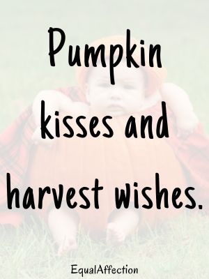 Pumpkin Quotes For Babies Funny