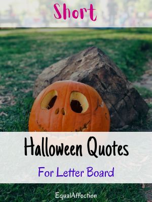 Short Halloween Quotes For Letter Board