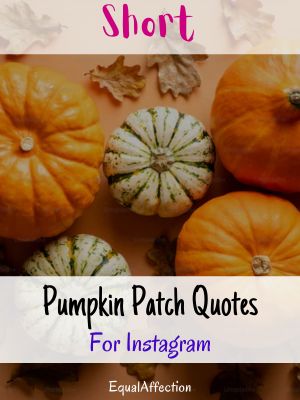 Short Pumpkin Patch Quotes For Instagram