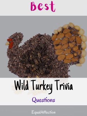 Wild Turkey Trivia Questions